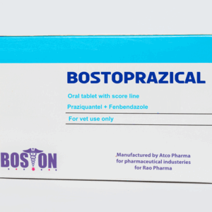 Bostoprazical
